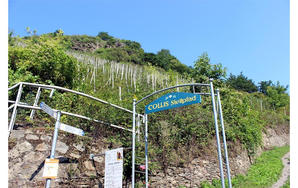 Zugang zum Collis Steilpfad in Zell an der Mosel (2015)