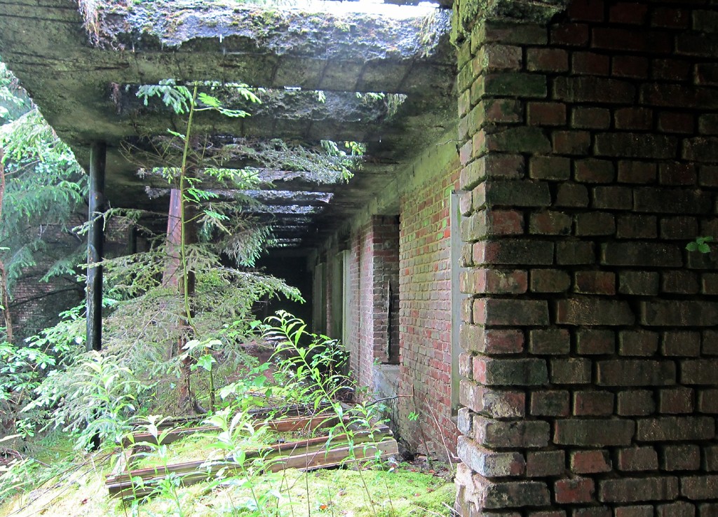Die Ruine der Adenauervilla, Außenansicht des Erdgeschosses (2012).