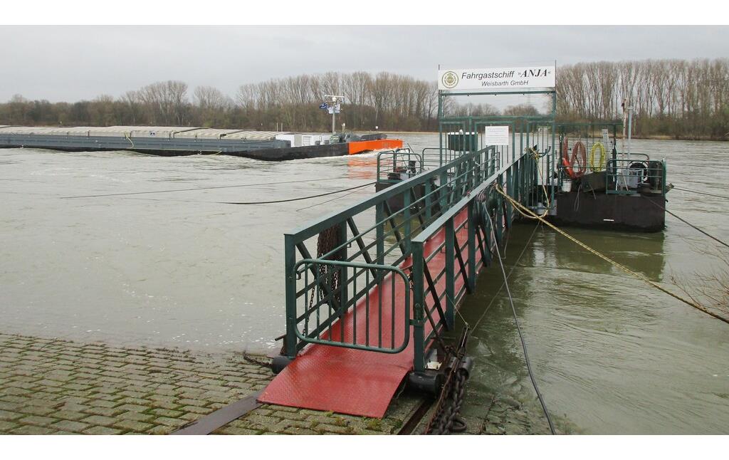 Anleger der Personenschifffahrt ("Fahrgastschiff Anja") am Widdiger Rheinufer mit der Ersatzübergangsstelle über den Rhein, der so genannten "NATO-Rampe" zwischen Bornheim-Widdig und Niederkassel-Rheidt (2024).