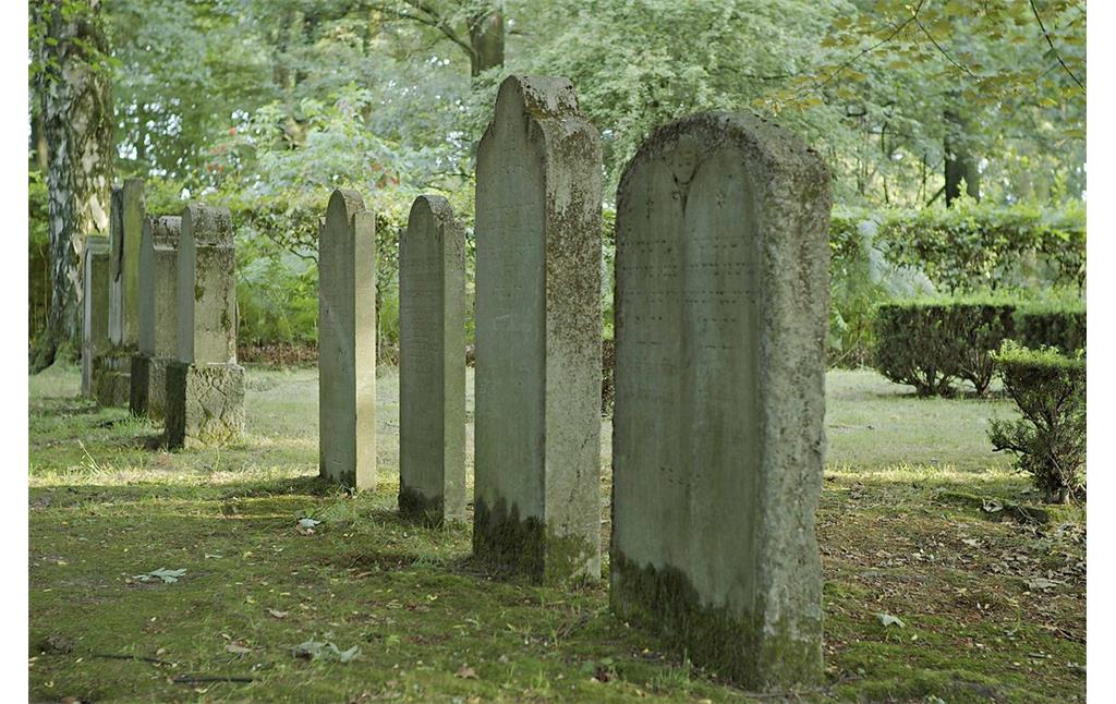 Gräberreihe auf dem jüdischen Friedhof Anrath-Willich
