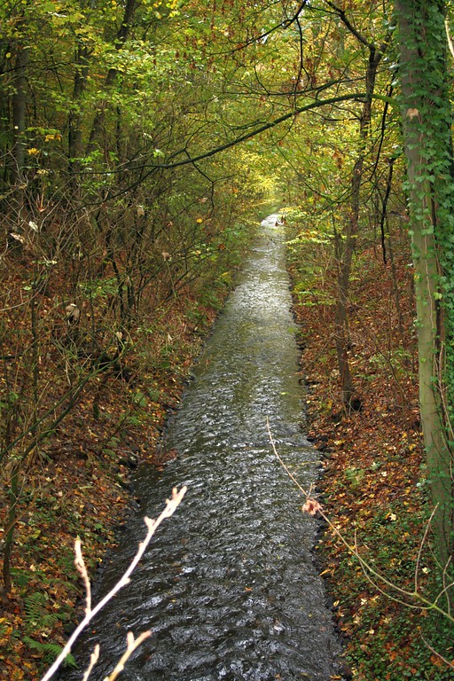Der Lohberger Entwässerungsgraben an der nördlichen Genze im Wohnungwald in Voerde (2014).
