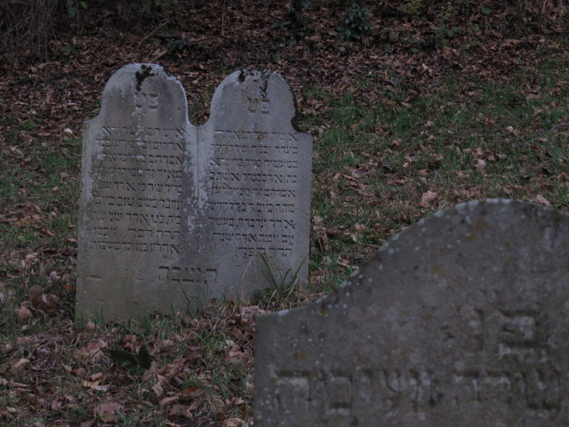 Grabsteine auf dem jüdischen Friedhof am Ehrlichsberg in Miehlen (2012)