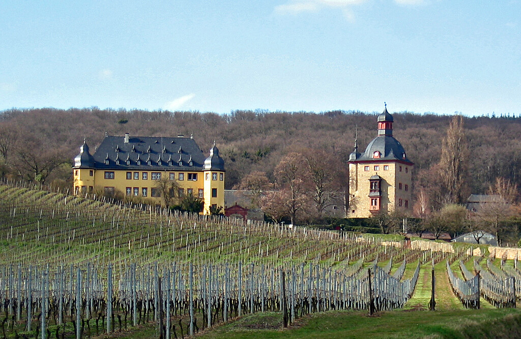Schloss Vollrads (2009)