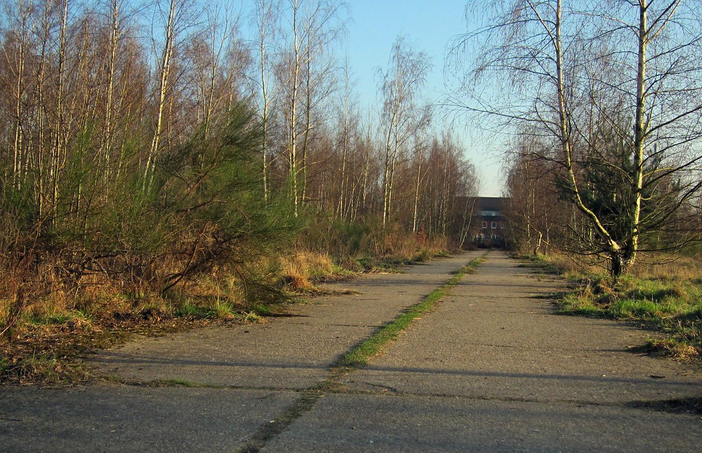 Delbrücker Heide, ehemaliger Militärweg (2012).