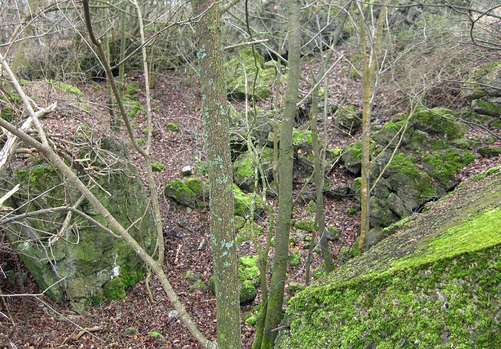 Teile der Ruine des ehemaligen "Führerhauptquartiers Felsennest" bei Rodert (2012).