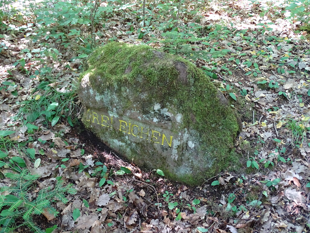 Ritterstein Nr. 21 Drei Eichen südwestlich von Böllenborn (2020)