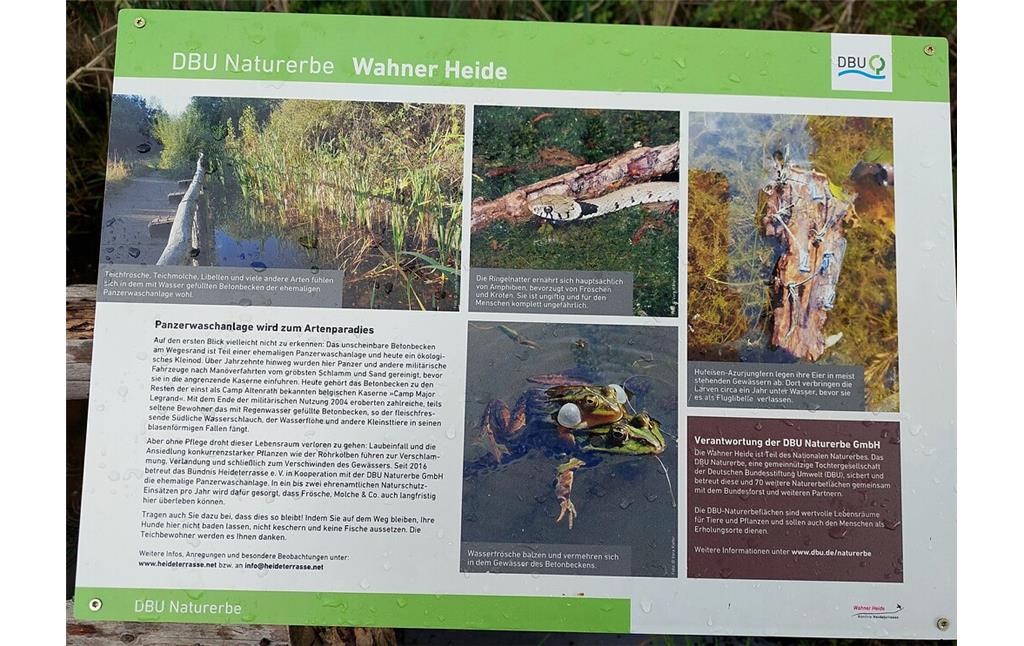 Informationstafel der Deutschen Bundesstiftung Umwelt (DBU) zur früheren Panzerwaschanlage als Artenparadies, in der Wahner Heide bei Troisdorf-Altenrath (2021).