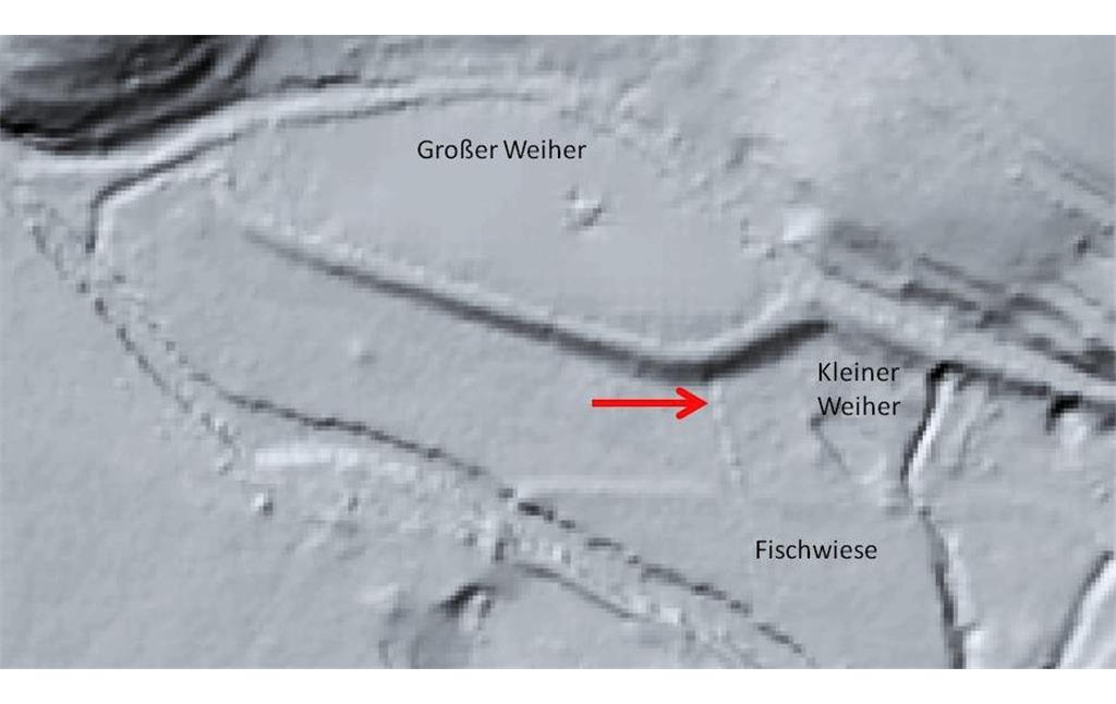 Die Fischwiese der ehemaligen Eisenhütte Abentheuer rot markiert im digitalen Geländemodell (Laserscan, LVermGeo RLP, 2016).