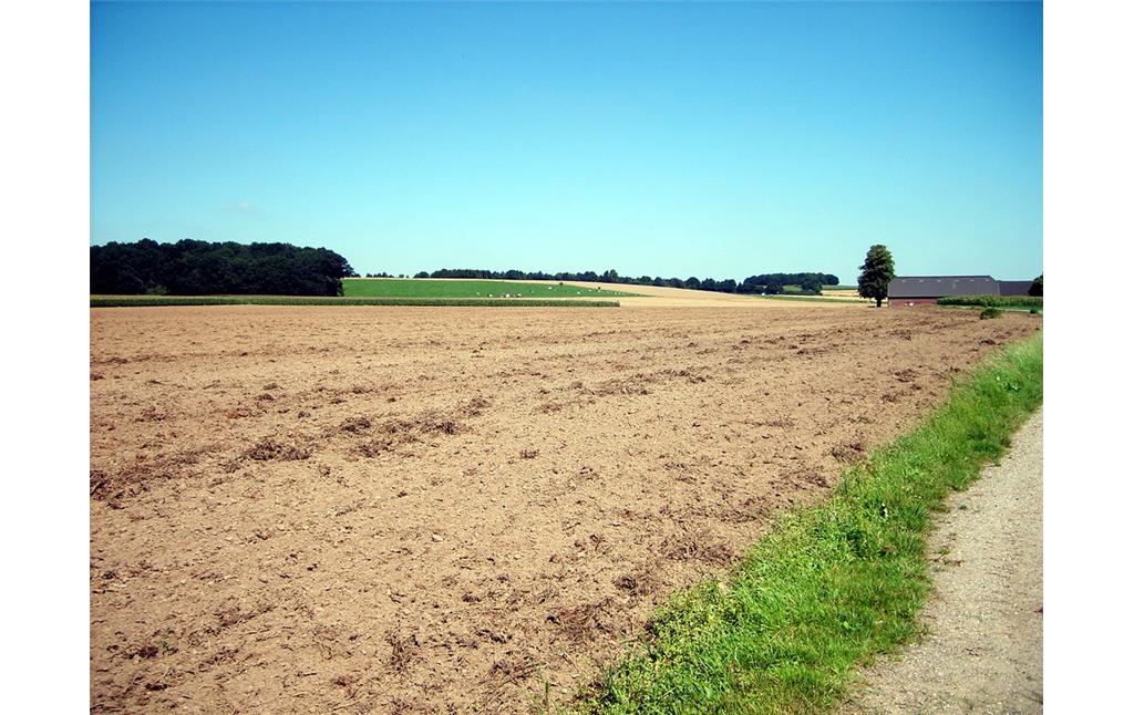 Ackerfläche im Uedemerfeld (2011)