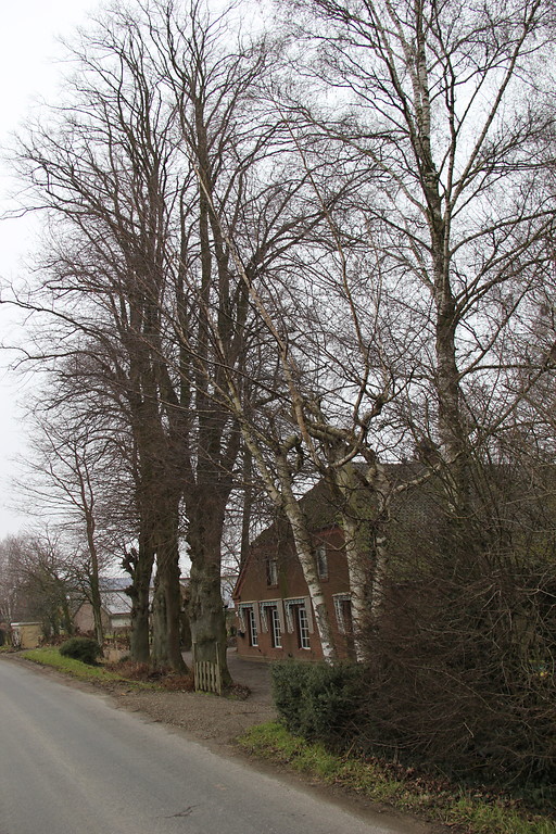 Beierhof in Uedemerfeld (2013), etwas versteckt hinter Bäumen entlang dem Uedemerfelder Weg.