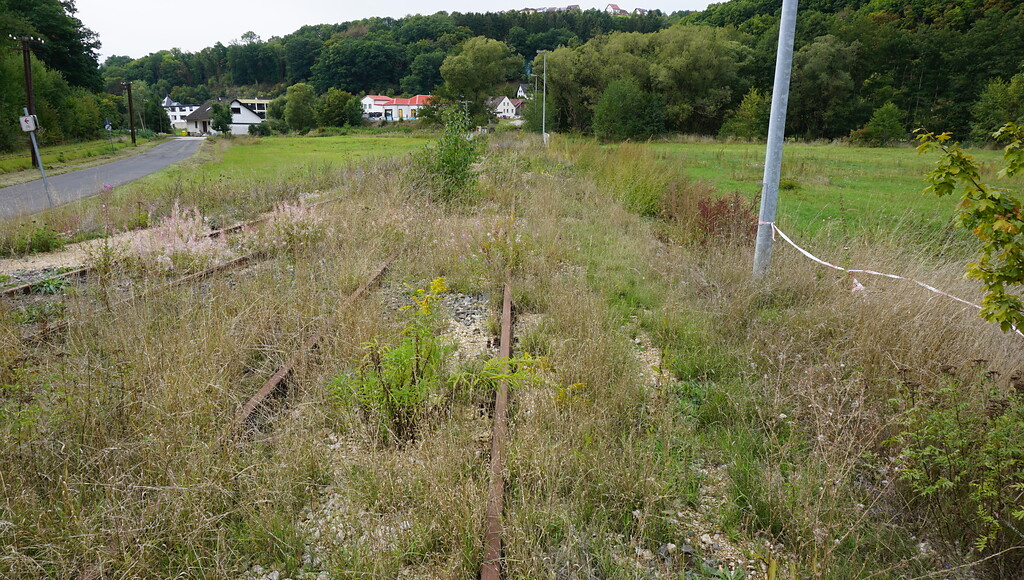 Schleiden-Höddelbusch, Bahnhof (2022). Blick auf die Laderampe