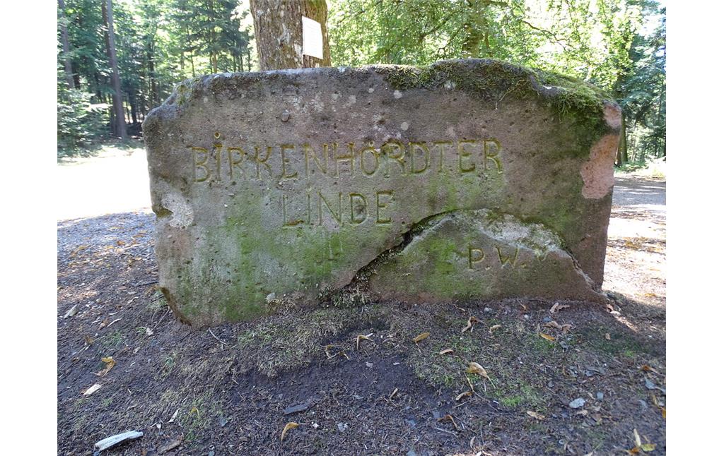 Ritterstein Nr. 199 Birkenhördter Linde südwestlich von Birkenhördt (2020)