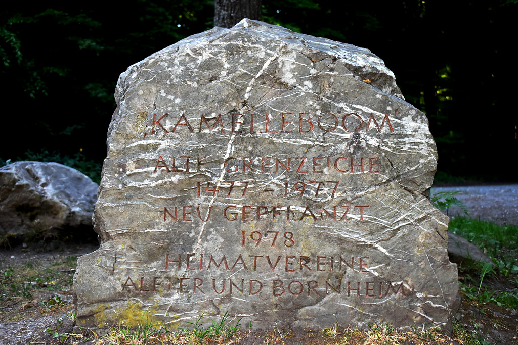 Gedenkstein zum Kamelleboom in der Ville bei Bornheim (2020)