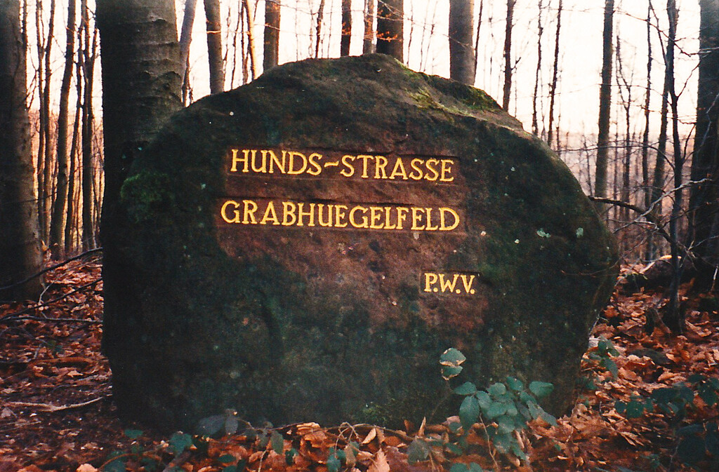 Ritterstein Nr. 244 Hunds-Strasse Grabhuegelfeld östlich von Heltersberg an der L 499 (1998)