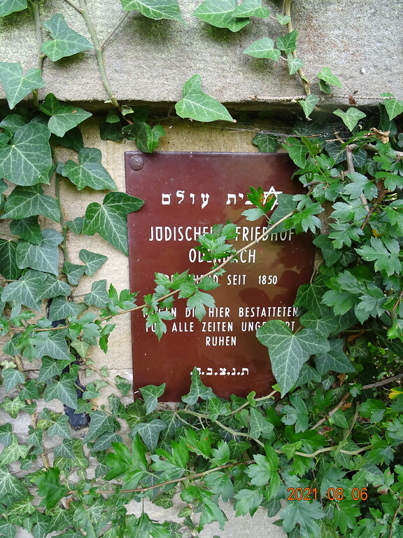 Jüdischer Friedhof Odenbach am Glan (2021)