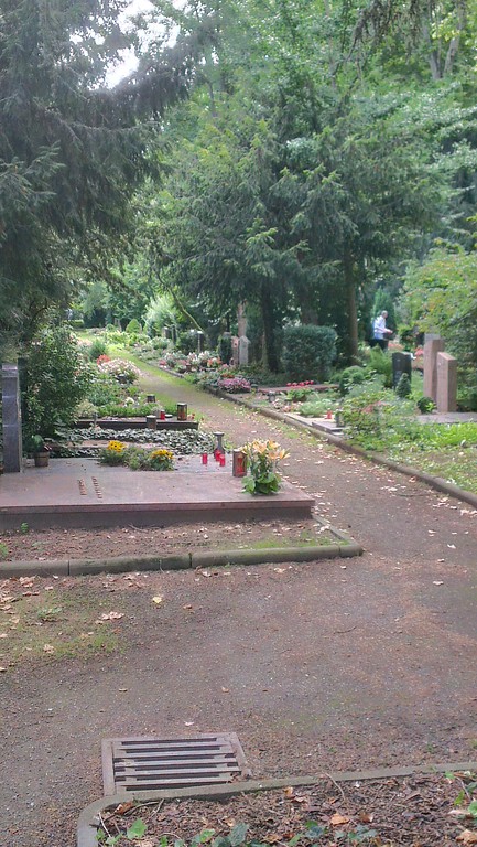 Grabstätten und Weg auf dem Koblenzer Hauptfriedhof (2014)