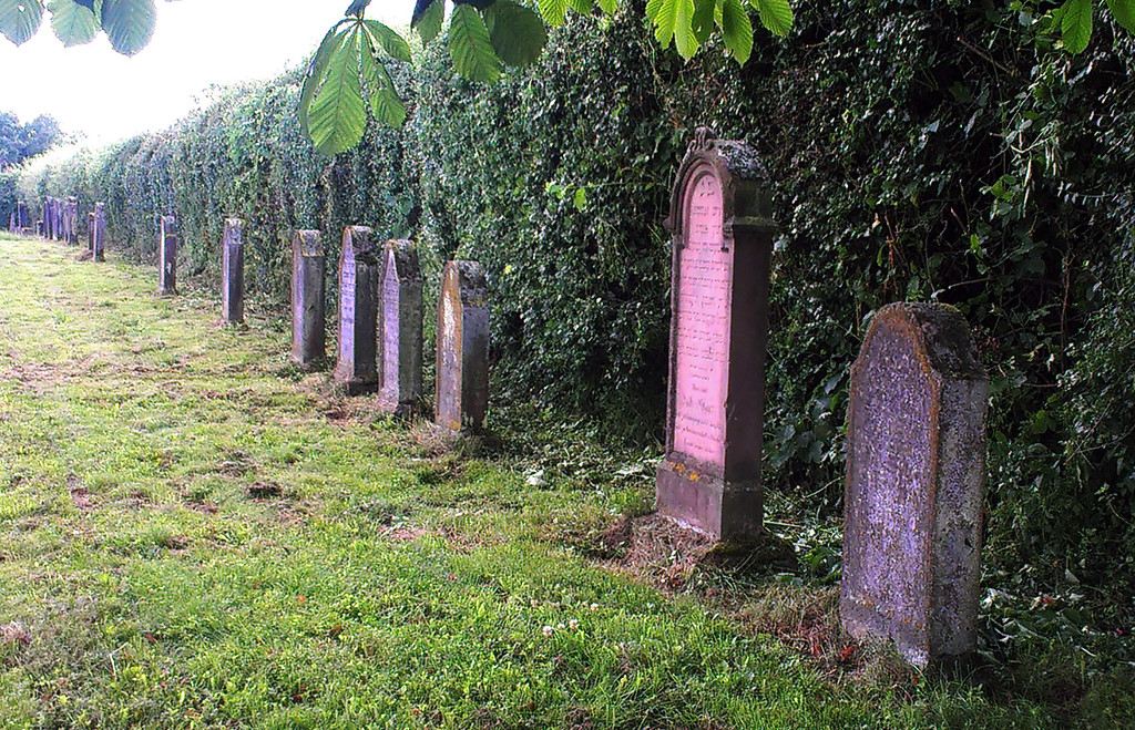 Eine Reihe von Grabsteinen auf dem jüdischen Friedhof in Binningen (2013)