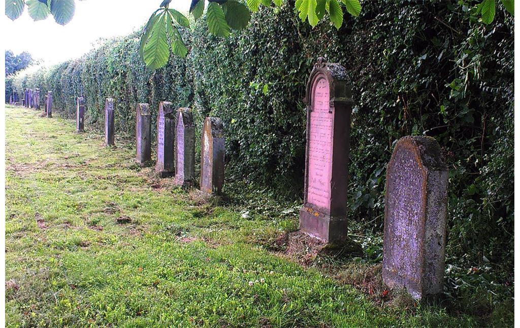 Eine Reihe von Grabsteinen auf dem jüdischen Friedhof in Binningen (2013)