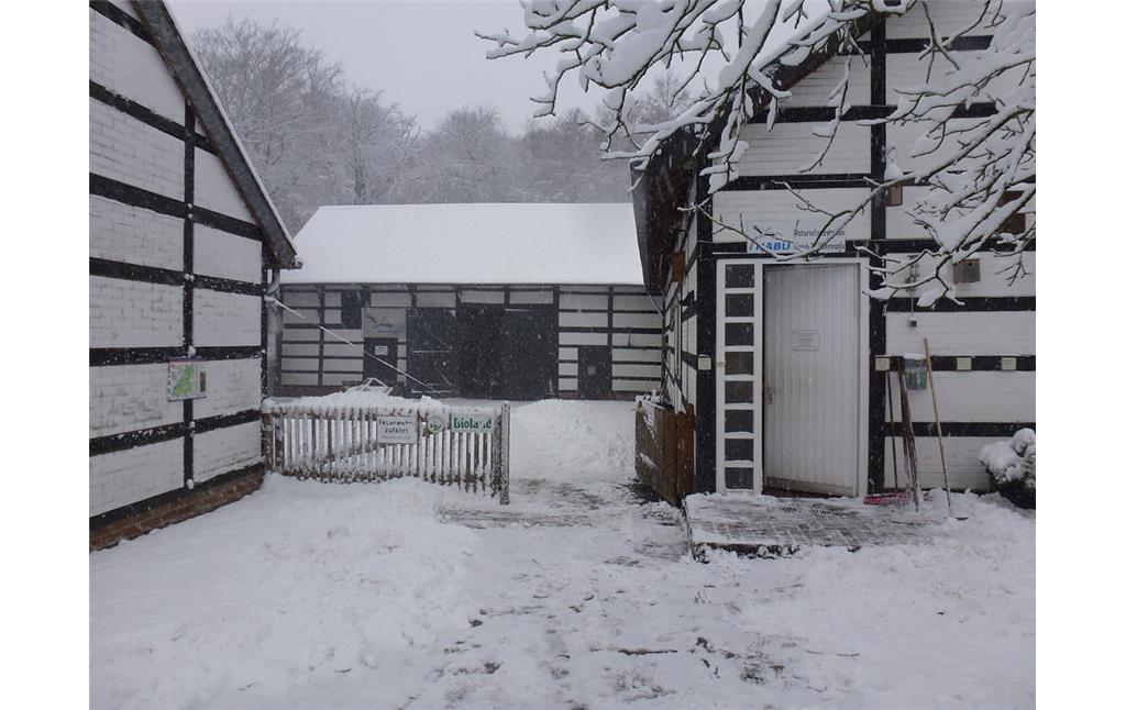 Haus Wildenrath im Winter (2012)