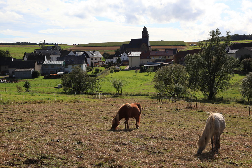 Der Ort Bongard und die Filialkirche St. Agatha (2011), im Vordergrund eine Pferdeweide.