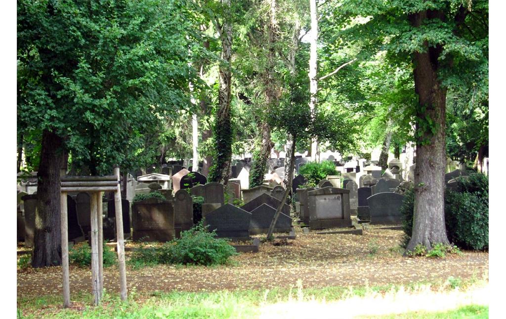 Gräberfeld des Neuen Jüdischen Friedhofs Venloer Straße in Köln-Vogelsang (2013)