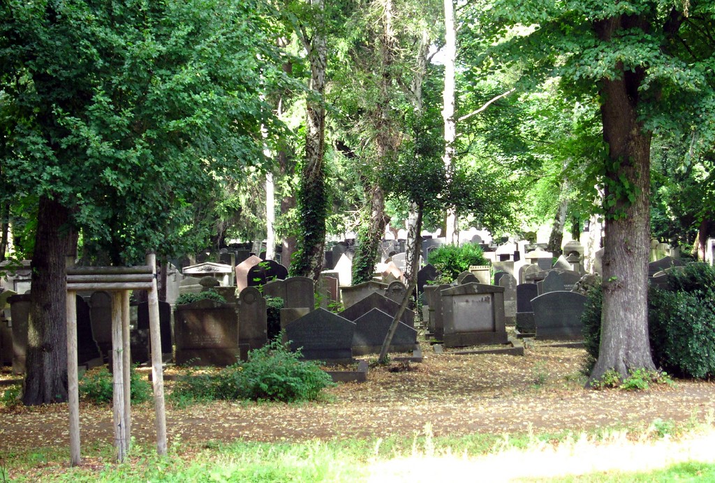 Gräberfeld des Neuen Jüdischen Friedhofs Venloer Straße in Köln-Vogelsang (2013)