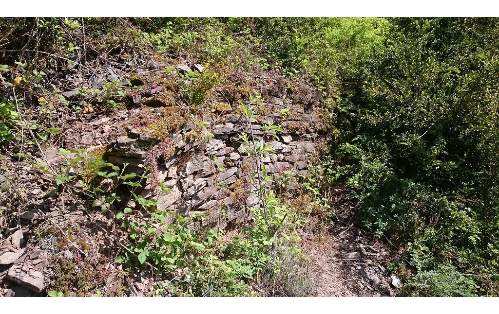 Trockenmauer mit Pflanzenbewuchs im Calmont (2017)