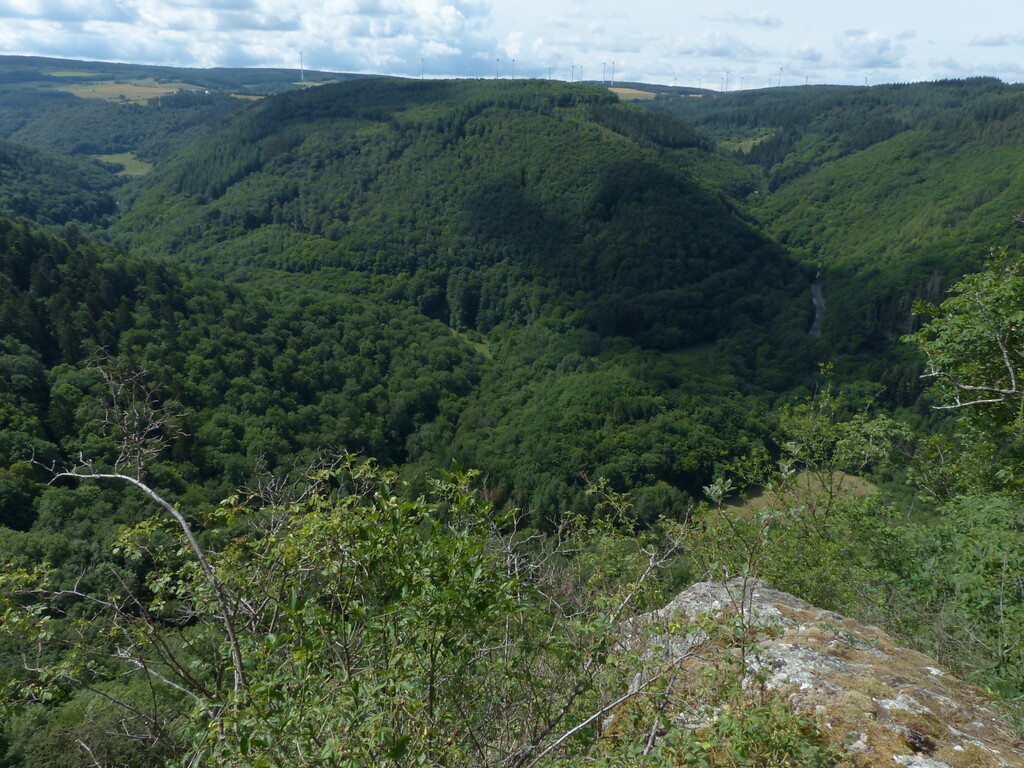 Blick vom Harpelstein aus auf das Tal der Großen Dhron - Bienenkopf, Berger Wald und Haardtwald (2022)
