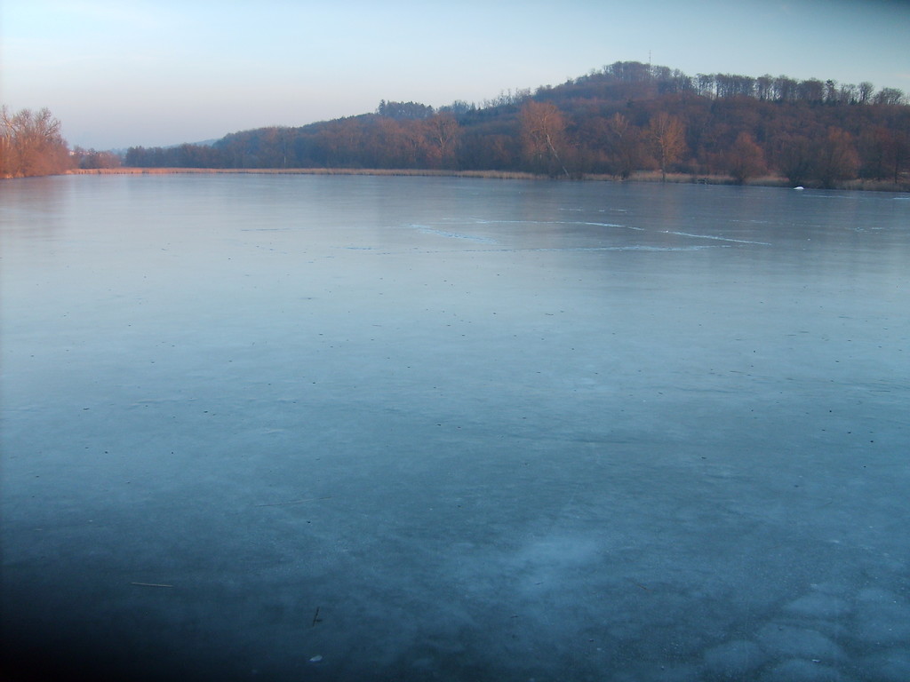 Der Aalkistensee, der größte See des Klosters Maulbronn (2009)