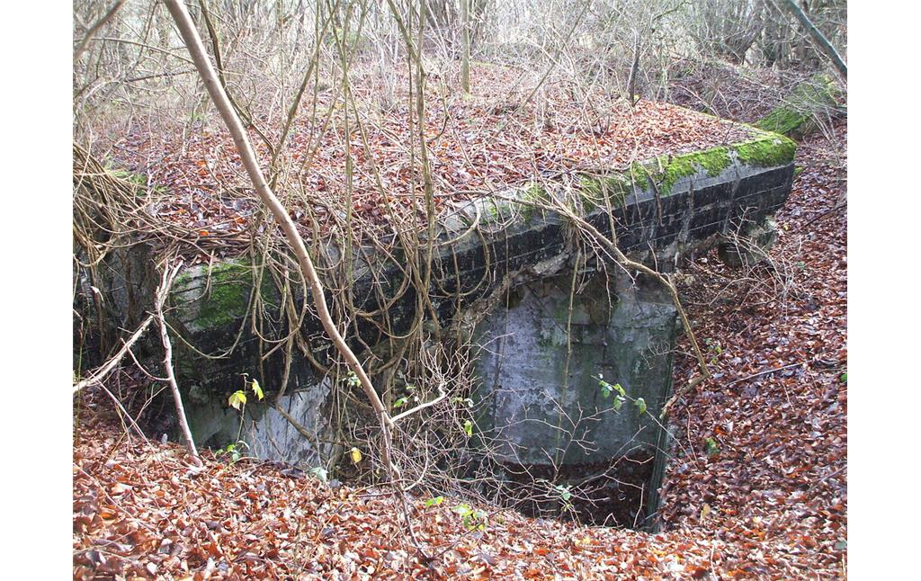 Überreste einer Flakstellung am Ottenberg nördlich von Nettersheim-Zingsheim (2016)