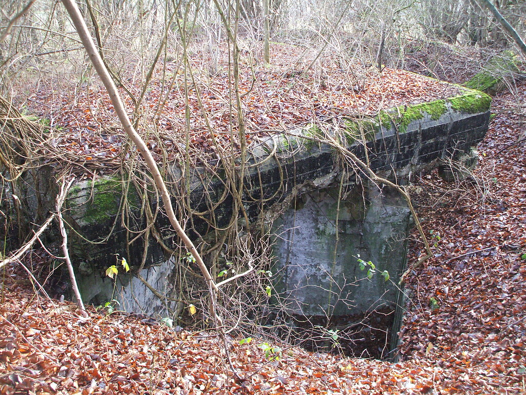 Überreste einer Flakstellung am Ottenberg nördlich von Nettersheim-Zingsheim (2016)