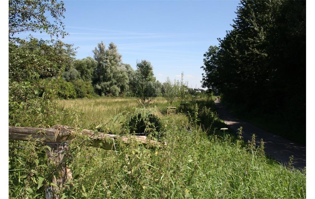 Die Feldmark Allee im Naturschutzgebiet "Weseler Aue" im Hochsommer 2012. Neben dem Weg gibt es eine Weidefläche mit einer Reihe von angepflanzten Bäumen.