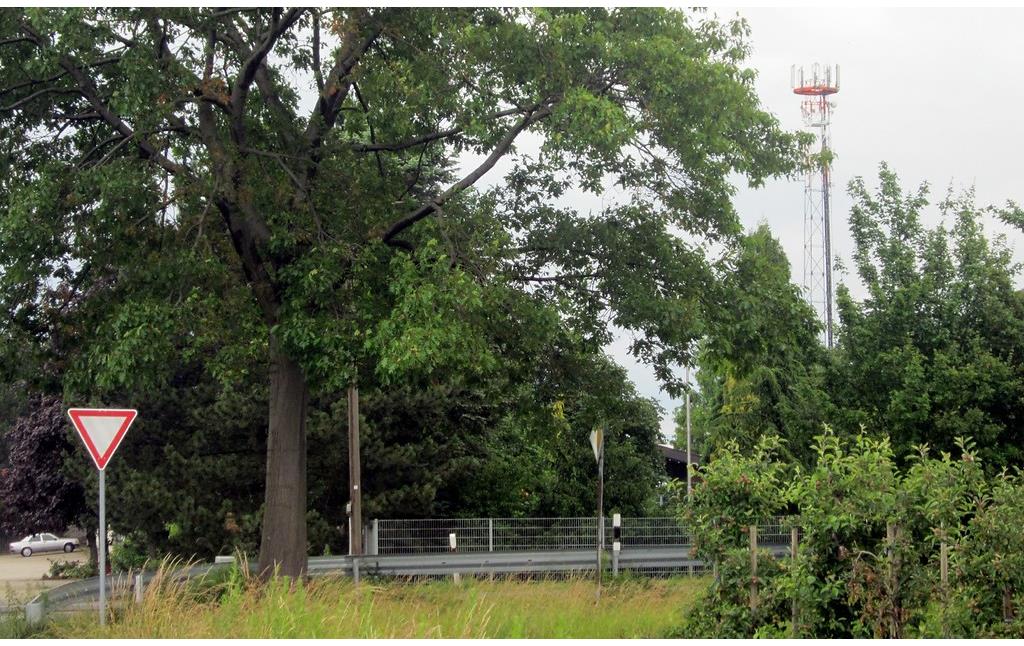 Rechts im Bild ein Mast der früheren Landebahnbefeuerung (Beleuchtung) des ehemaligen Notlandeplatzes auf der Autobahn A 61 (2015). Der Standort befindet sich heute innerhalb einer Baumschule bei Meckenheim-Ersdorf.