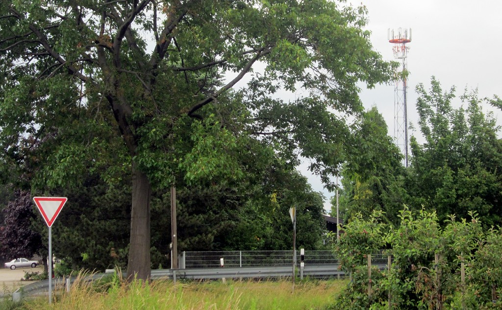 Rechts im Bild ein Mast der früheren Landebahnbefeuerung (Beleuchtung) des ehemaligen Notlandeplatzes auf der Autobahn A 61 (2015). Der Standort befindet sich heute innerhalb einer Baumschule bei Meckenheim-Ersdorf.