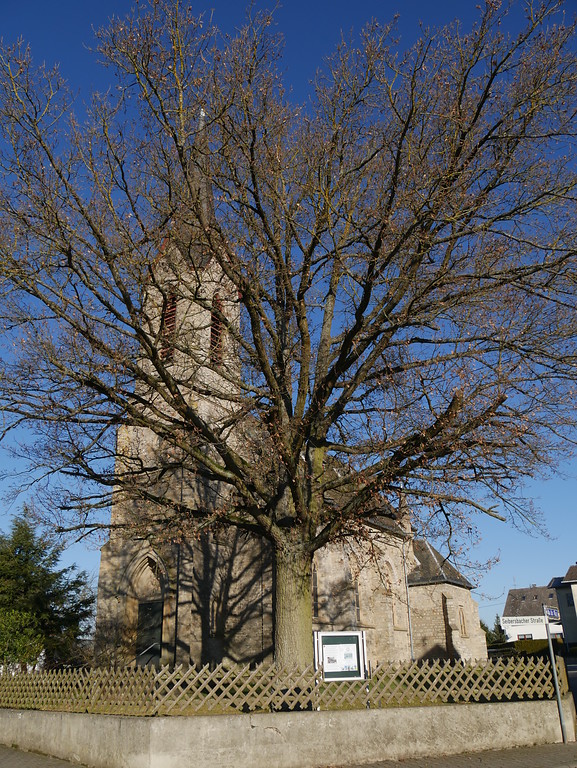 Südostseite der evangelischen Gustav-Adolf-Kirche in Dörrebach (2016).