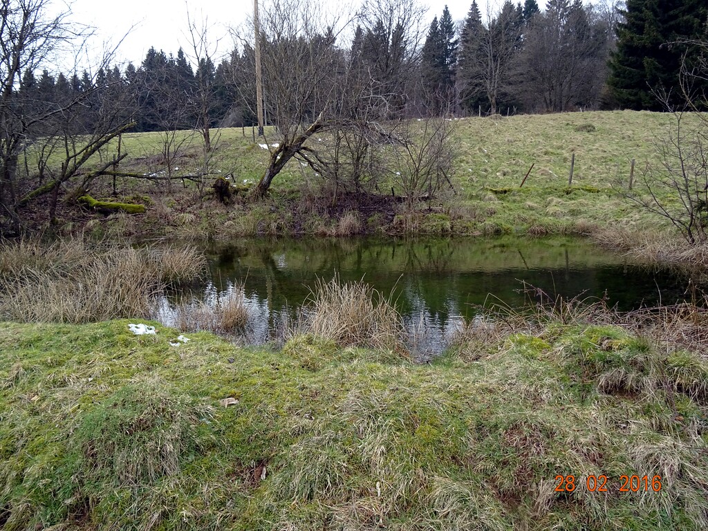 Stallungen und Wirtschaftsgebäude bei Börfink (2016): Zu dem landwirtschaftlich genutzten Anwesen zählt auch noch ein Teich.