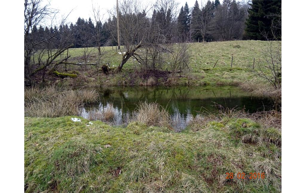 Stallungen und Wirtschaftsgebäude bei Börfink (2016): Zu dem landwirtschaftlich genutzten Anwesen zählt auch noch ein Teich.