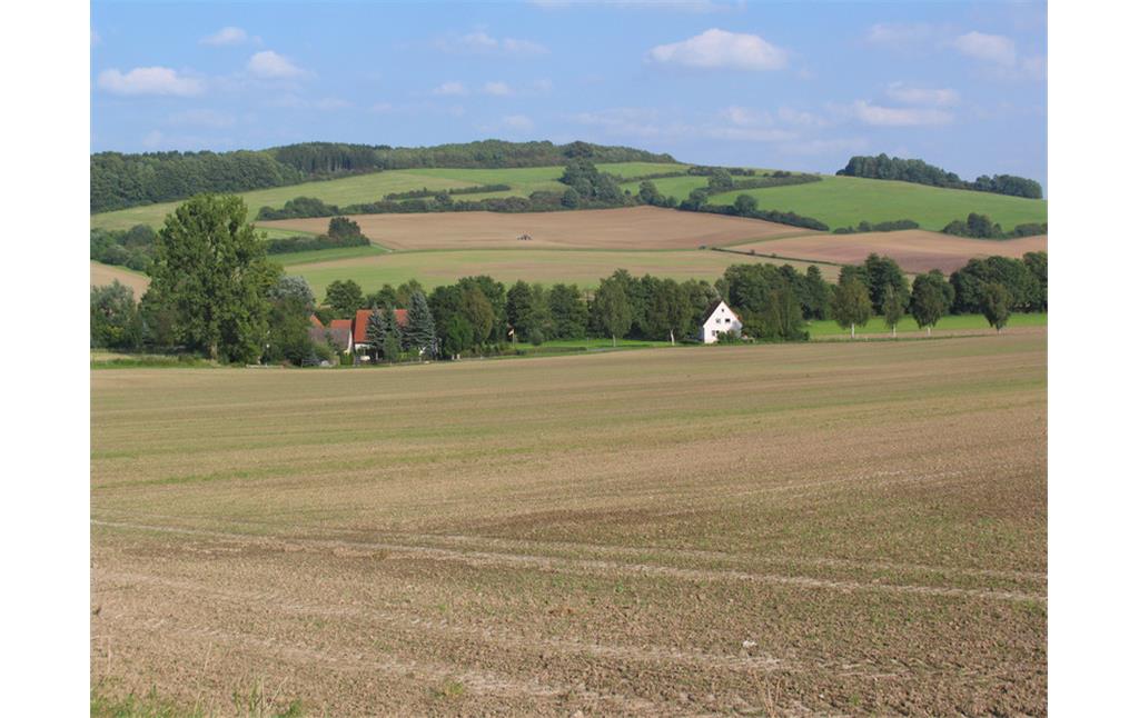 Bellenberg, südlich von Horn-Bad Meinberg, Kreis Lippe