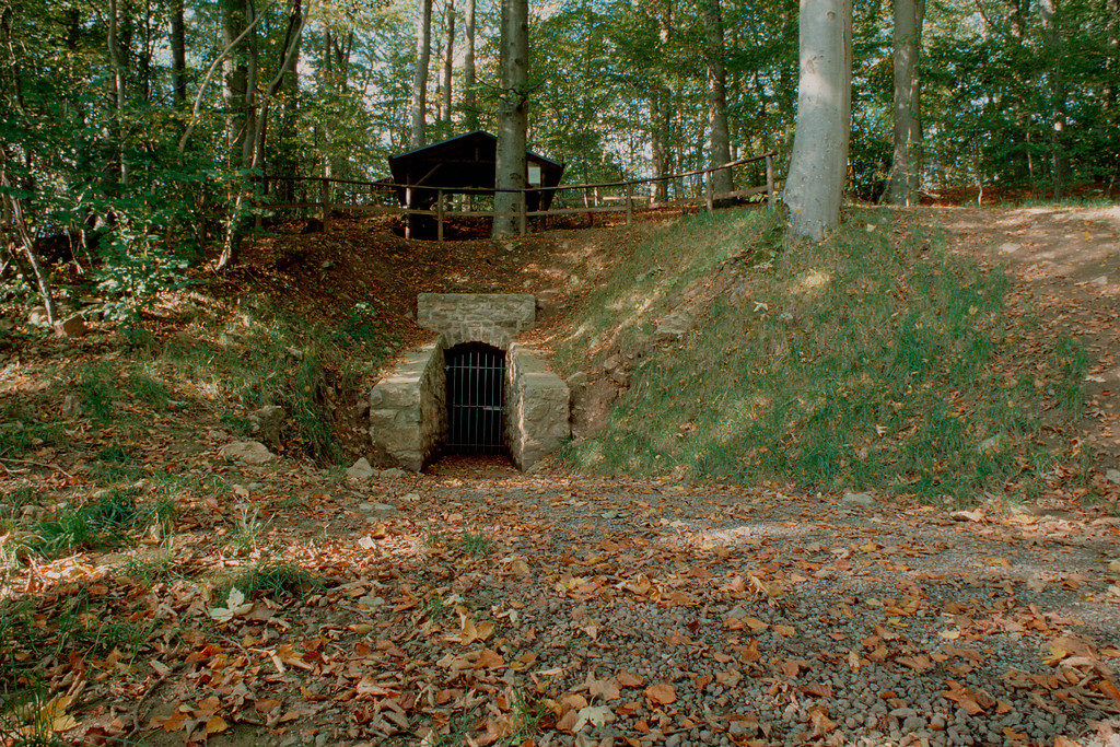 Blankenheim. Tiergartentunnel (2011)