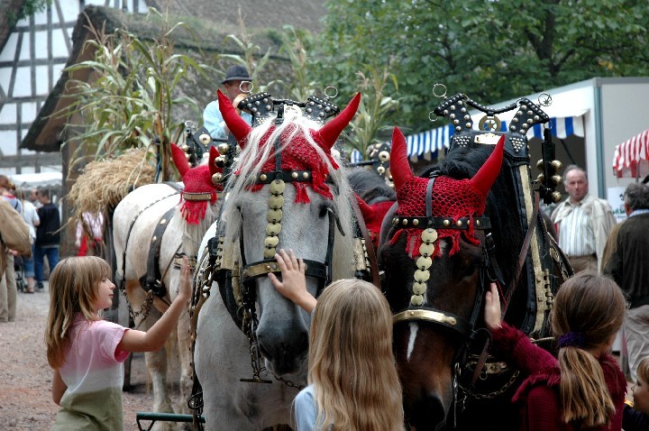 Geschmückte Pferde während einer Veranstaltung im LVR-Freilichtmuseum Kommern (2010).