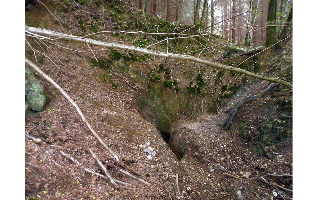 Eingang zum oberen Stollen der Grube Silberseifen im Walbachtal bei Roßbach (2014).