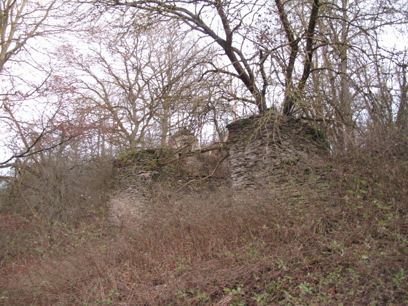 Die Ruine der Beerbachmühle bzw. Beerenbachmühle / Bärbacher Mühle (2012).