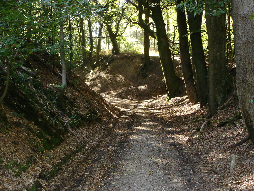 Hohlweg südlich von Frasselt bei Kranenburg (2011)