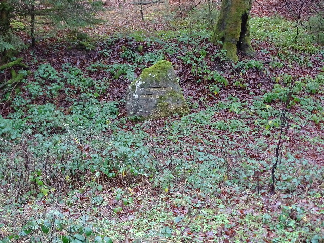 Ritterstein Nr. 245 Schwarzbach Ursprung südwestlich von Johanniskreuz (2018)