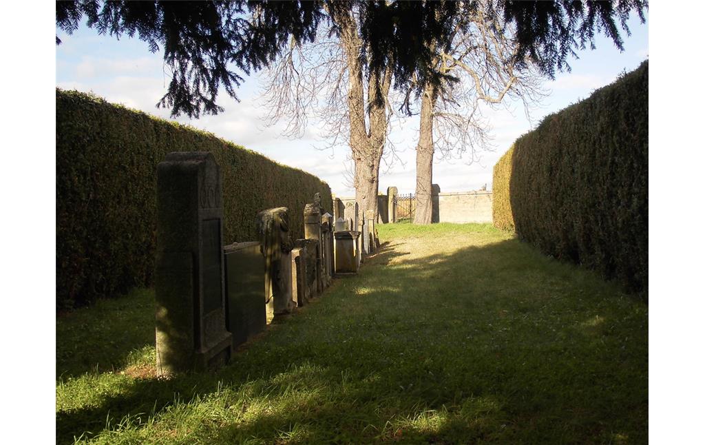 Jüdischer Friedhof in Kirrweiler (Pfalz) (2017)