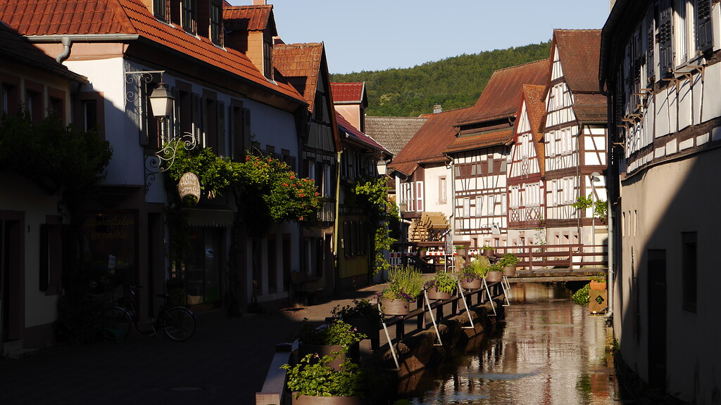 Blick auf die Fachwerkhäuser an der Queich in der Altstadt Annweiler am Trifels (2020)