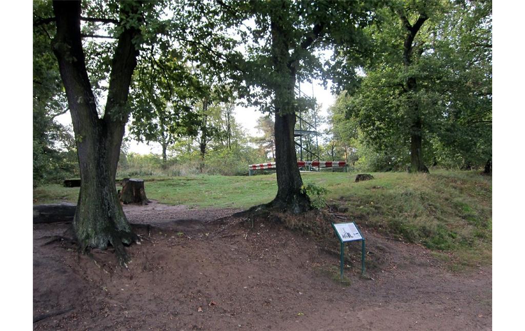 Telegrafenberg / Rodderberg in der Wahner Heide (2011)