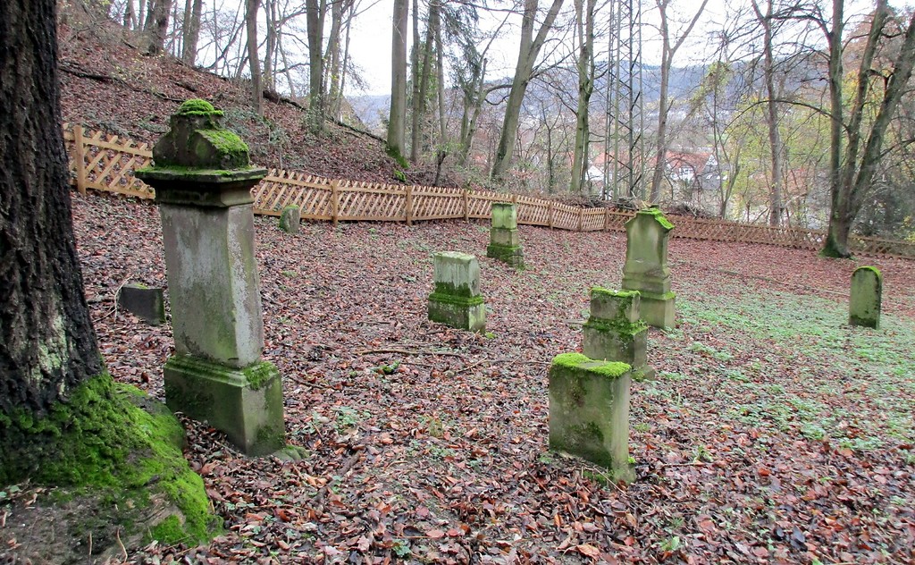 Das Gräberfeld auf dem neuen Judenfriedhof "am Kesselberg" in Bad Breisig-Niederbreisig (2015).