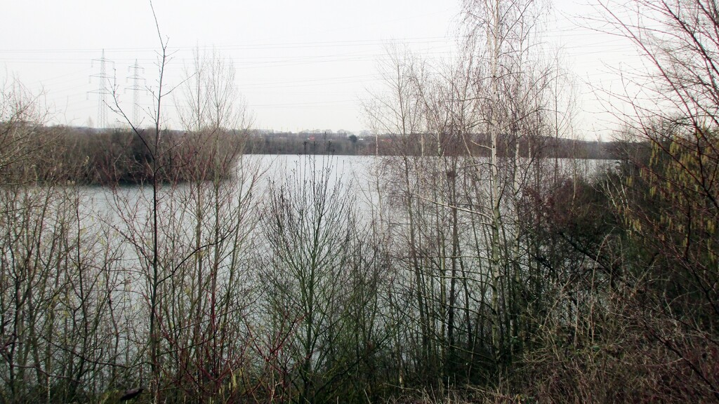 Der eine Fläche von 52,5 Hektar einnehmende Liburer See (auch Libursee oder Libur See) östlich des Ortskerns von Köln-Libur (2024).