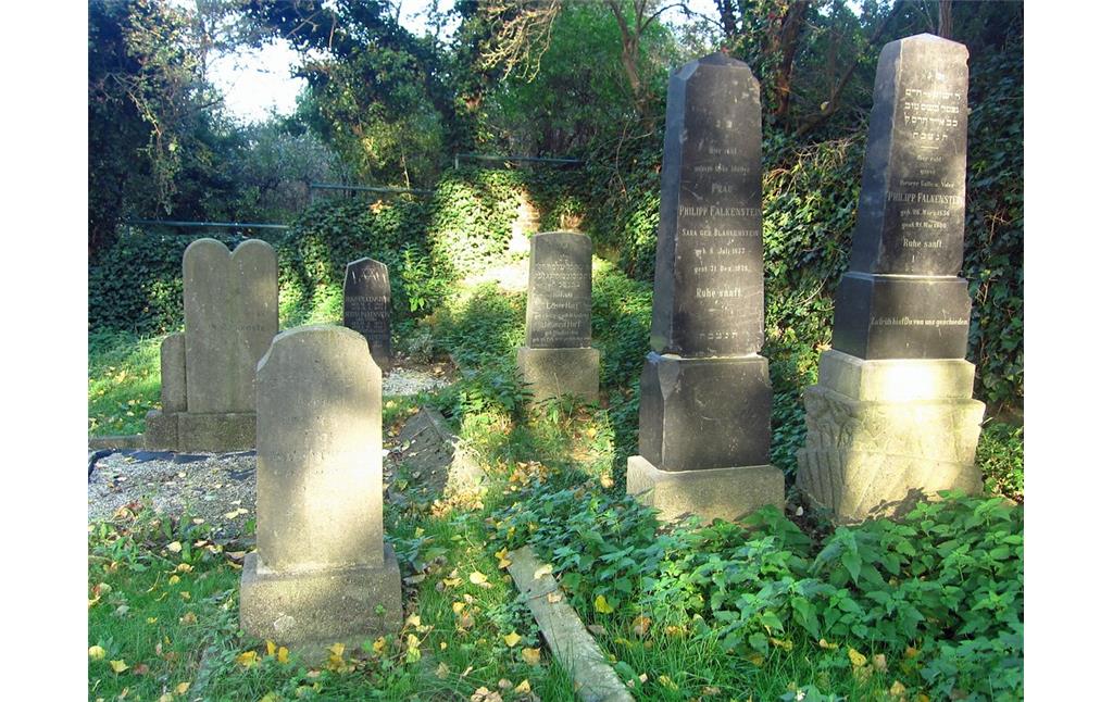 Grabsteine auf dem Jüdischen Friedhof am Stromberg in Jüchen-Hochneukirch (2013)